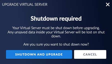 Shutdown the Virtual Server to upgrade the disk
